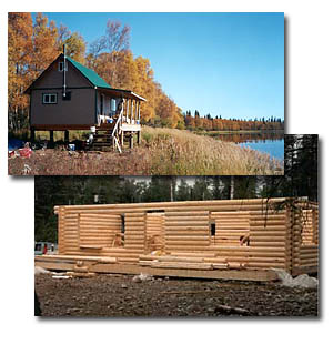 cabin building packages